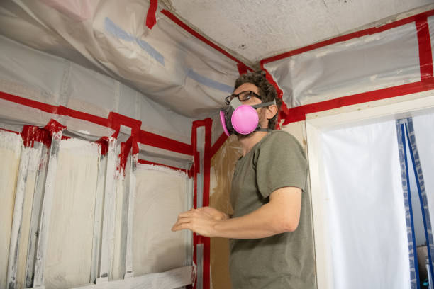 Best Mold Damage Restoration  in Stuart, VA